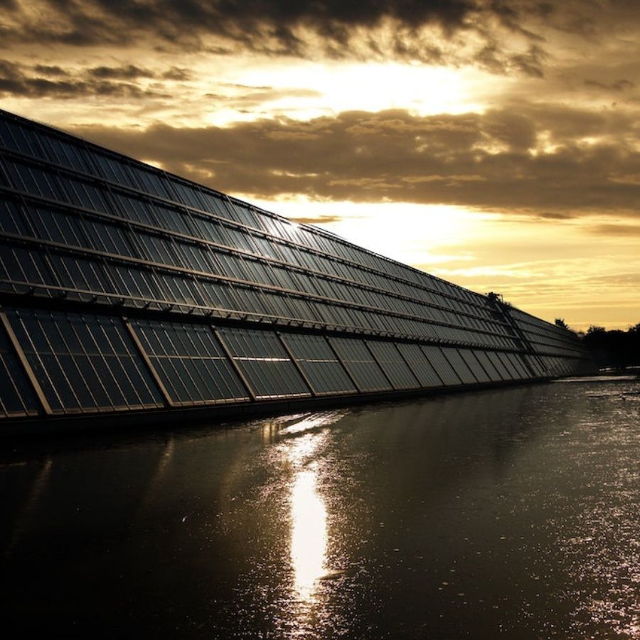 many solar panels on a field